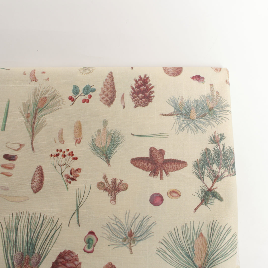 Forest explore print【こどものあそびぎ】