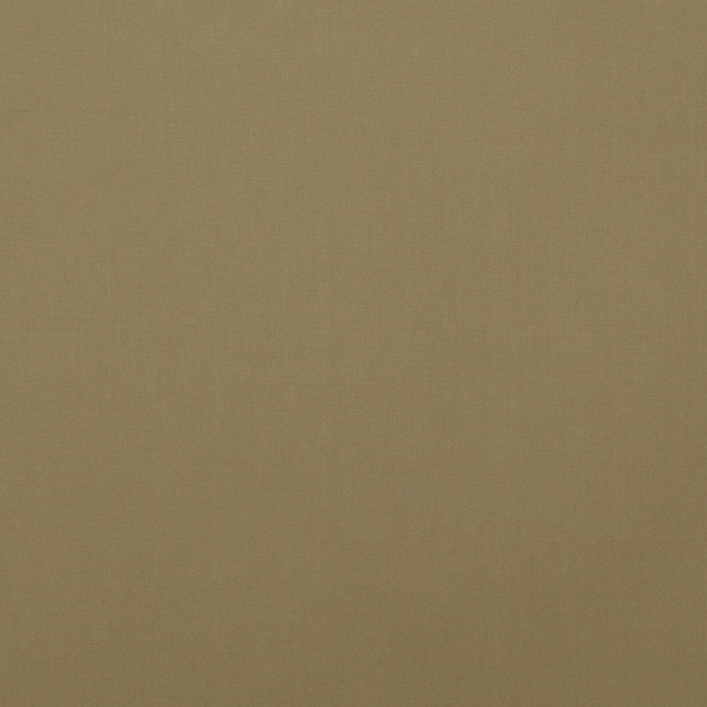 40/- 綿ブロード