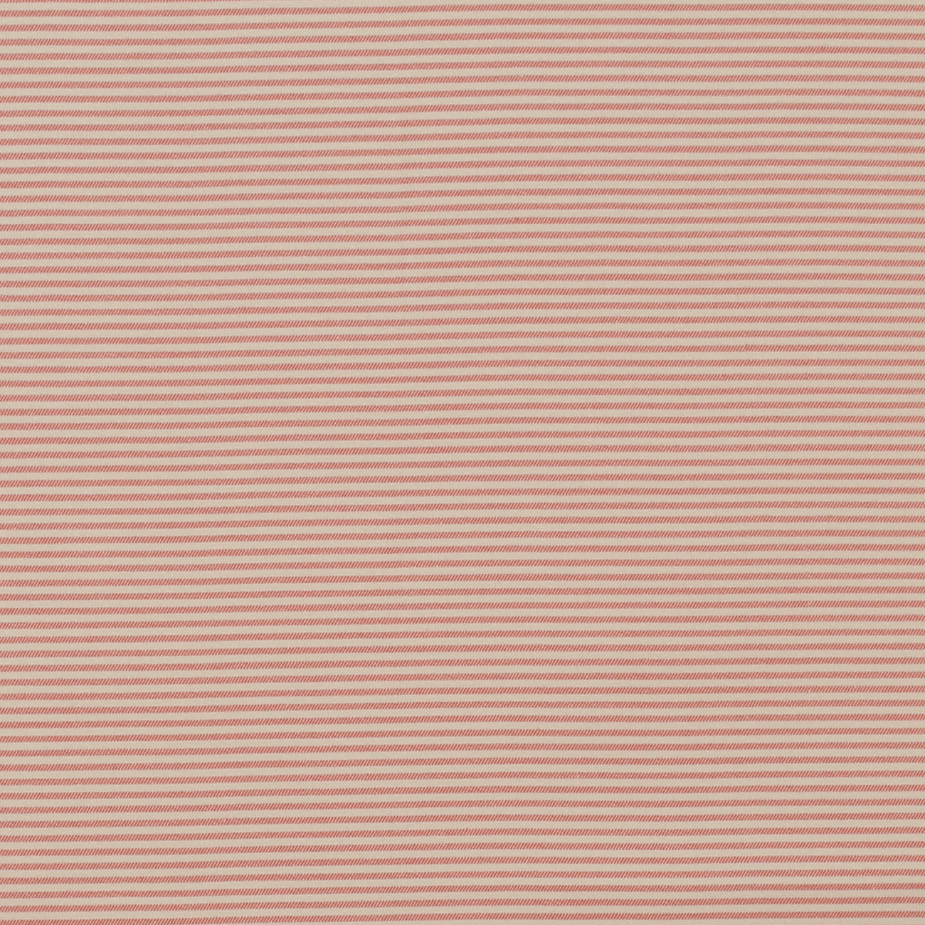 60/2ギャバボーダー(Original)